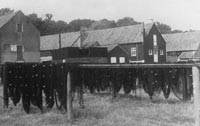 Net drying